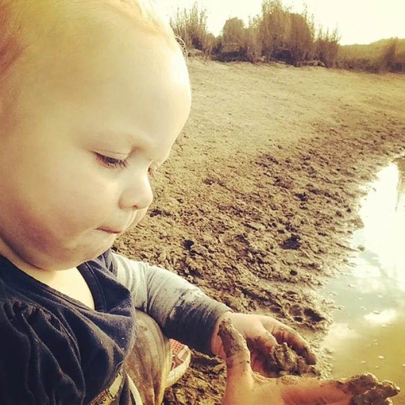 Smythesdale Gardens Reserve Campground