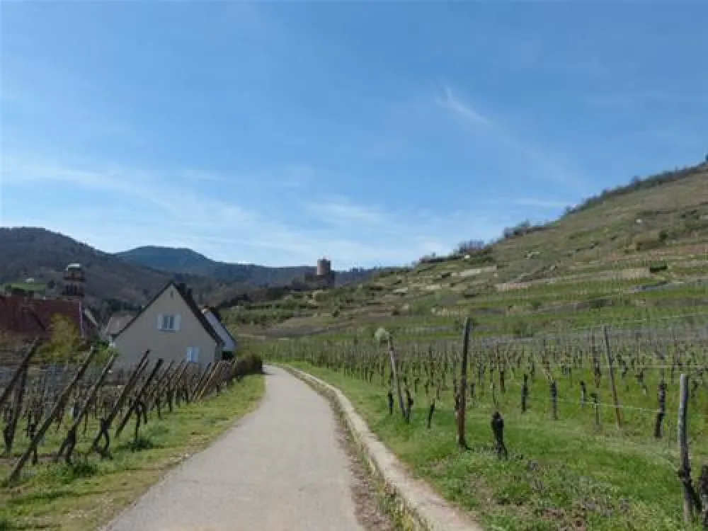 Camping Municipal Kaysersberg  