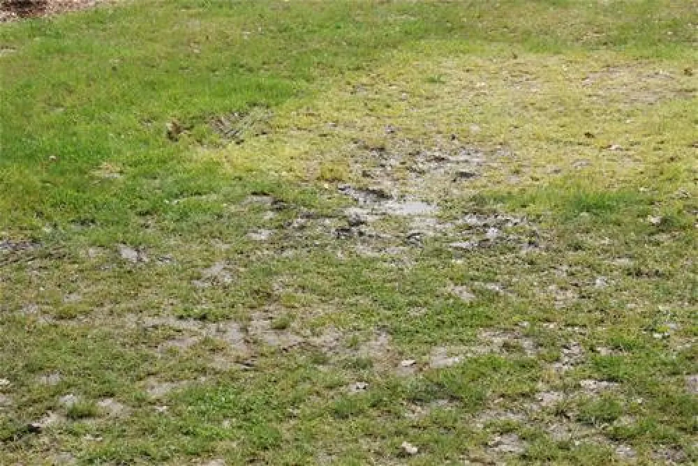 Erholungspark Wehlingsheide