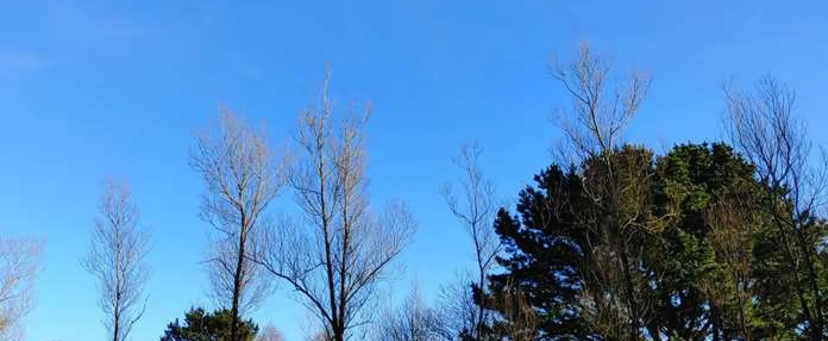 Salcombe Regis Camping and Caravan Park