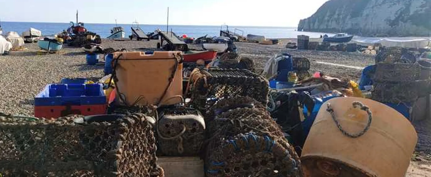 Salcombe Regis Camping and Caravan Park