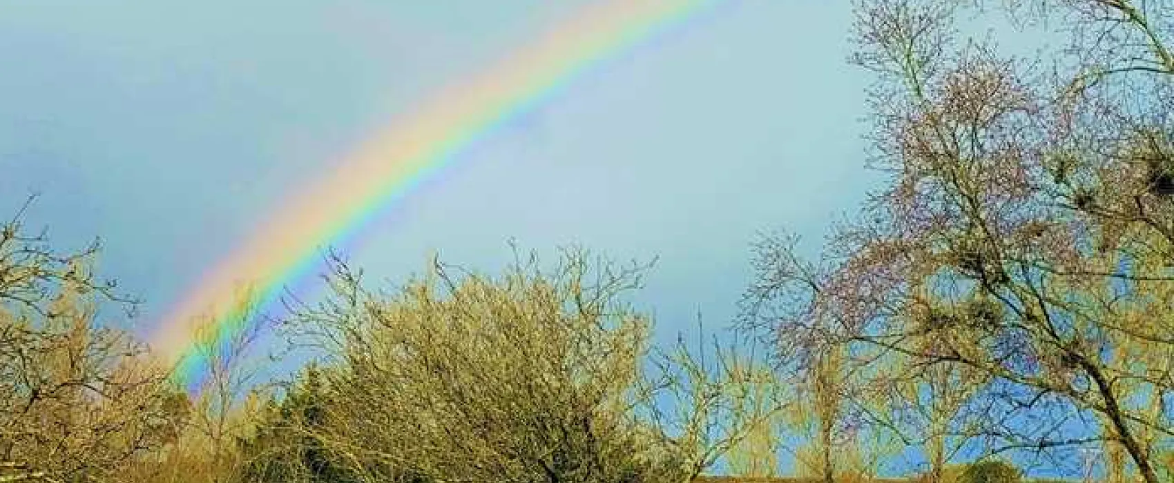 Salcombe Regis Camping and Caravan Park