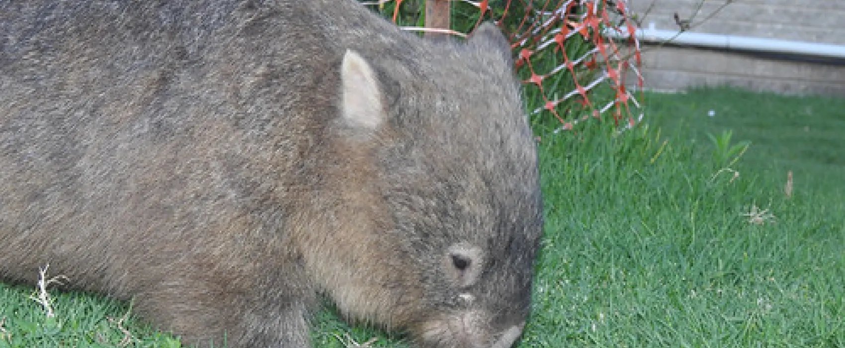 Bendeela Recreation Area Campground