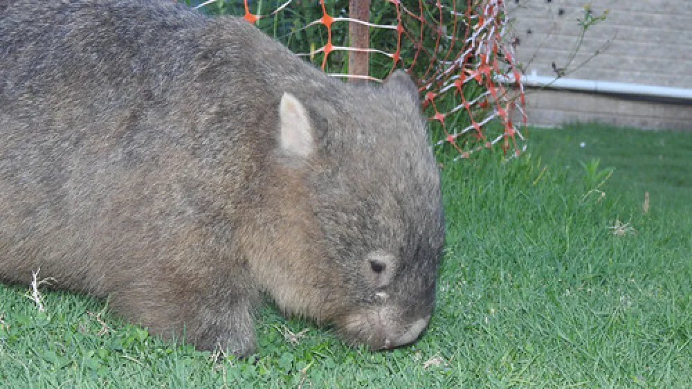 Bendeela Recreation Area Campground
