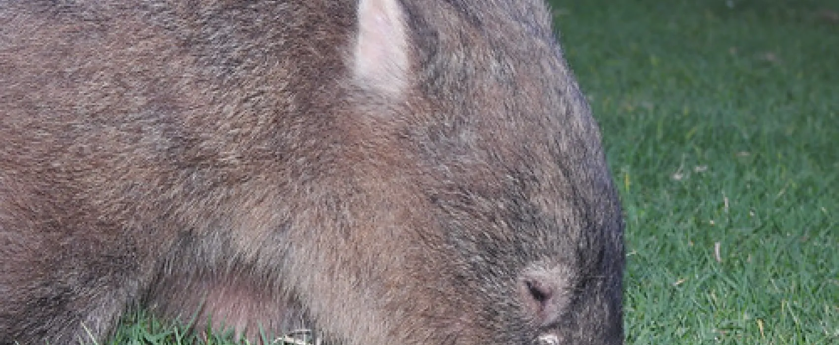 Bendeela Recreation Area Campground