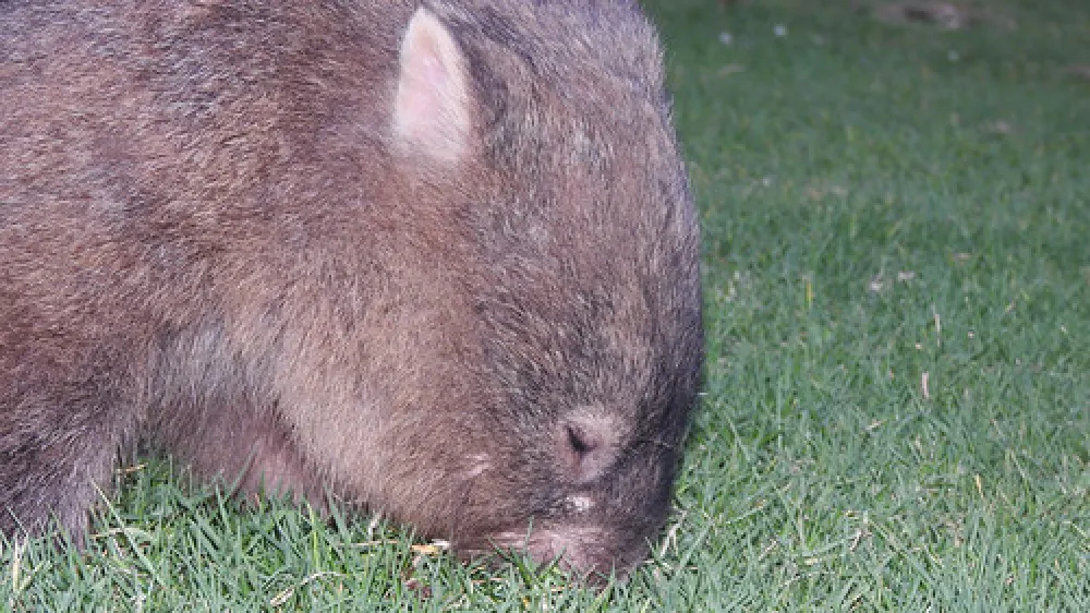 Bendeela Recreation Area Campground