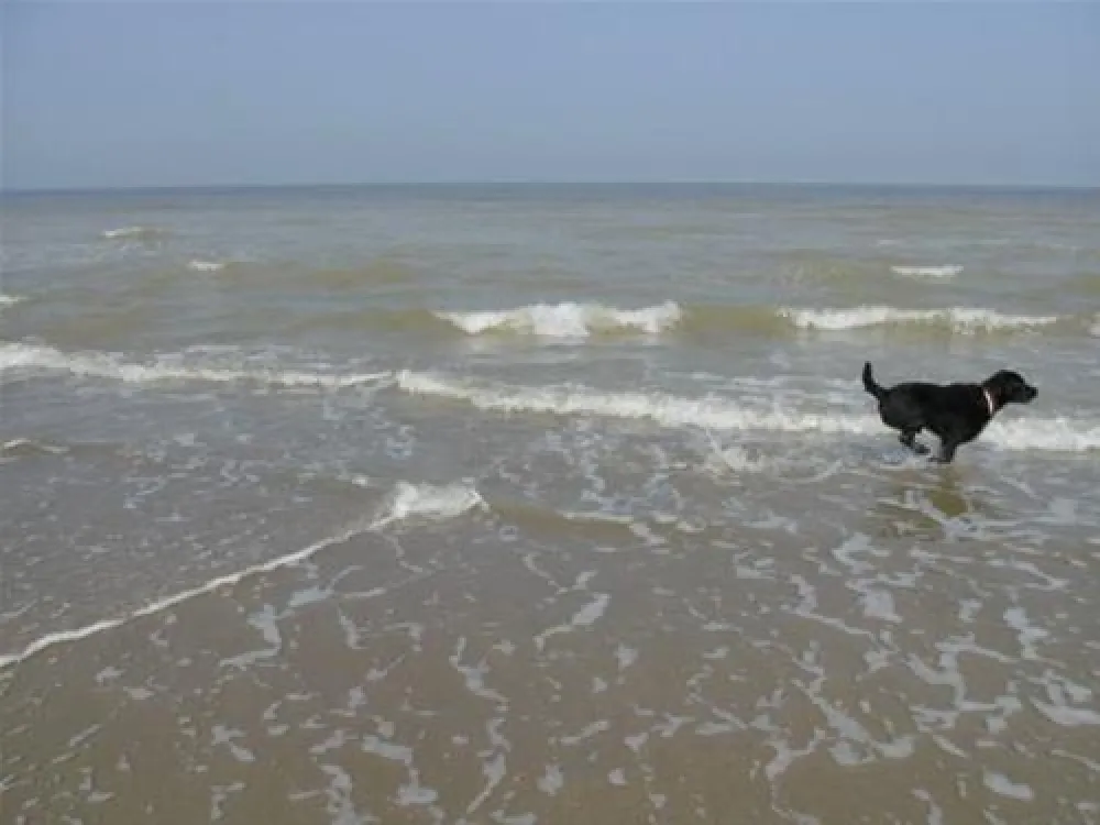 Camping aire naturelle Les Erables