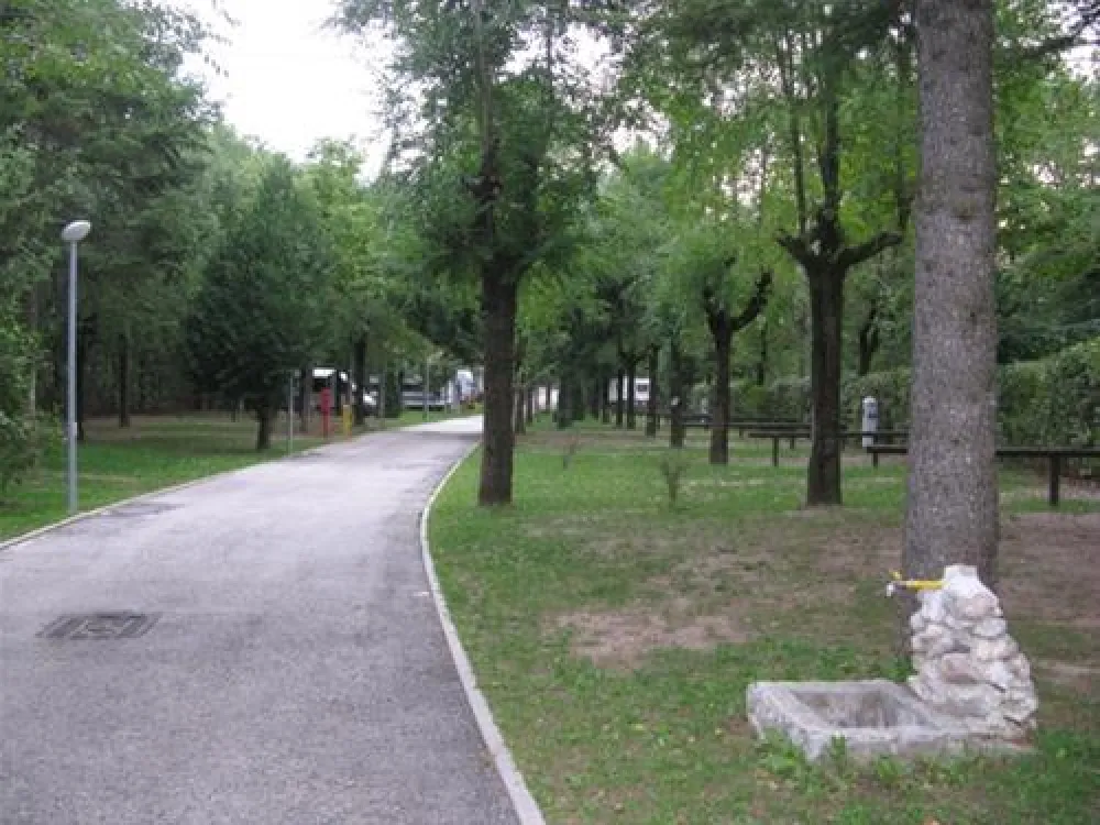 Campeggio Lido Lilla`