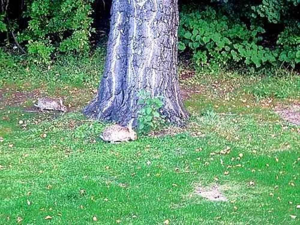 Campingplatz Mainkur