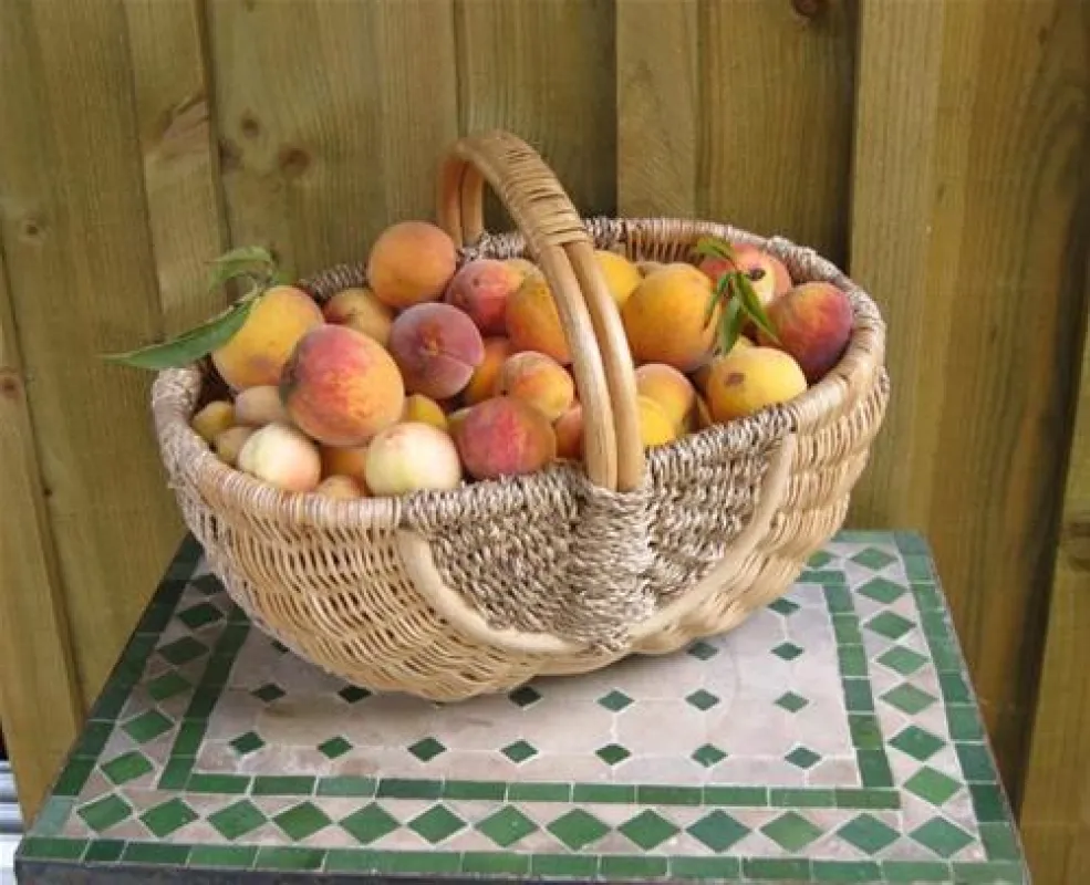 Sites et Paysages Saint-Louis***