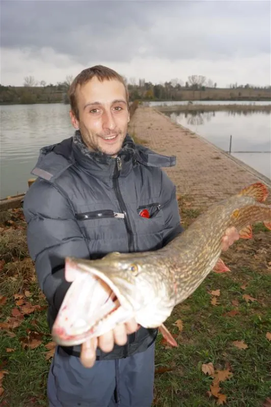 Sites et Paysages Saint-Louis***