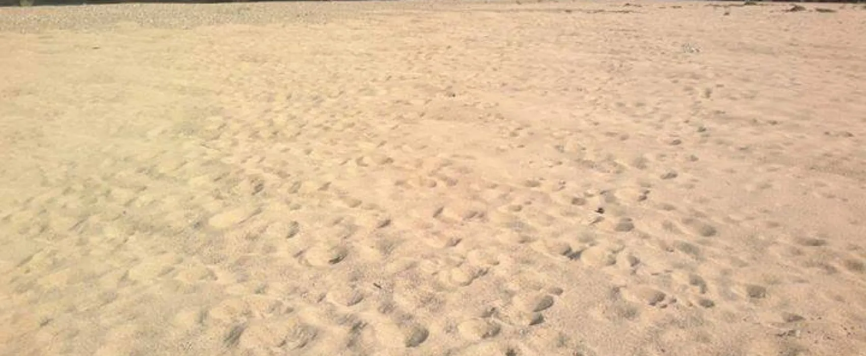 Oulanka Nationalpark Campsite