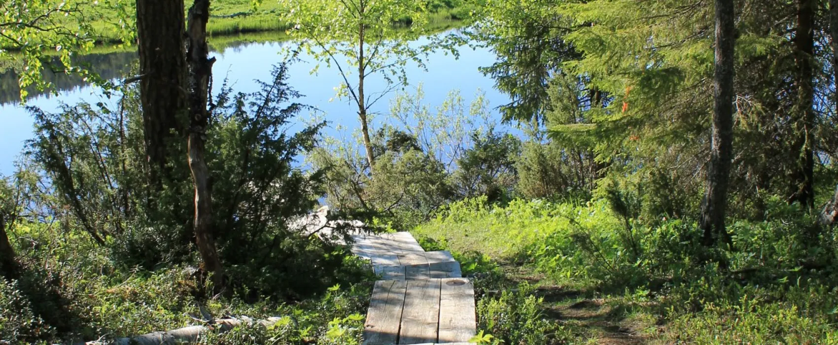 Oulanka Nationalpark Campsite
