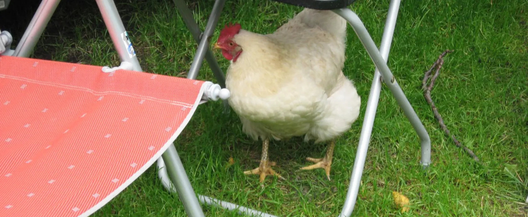 SVR camping Wel Wait