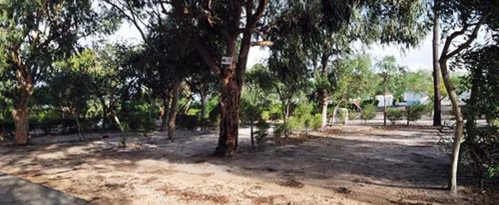 Camping Zambujeira