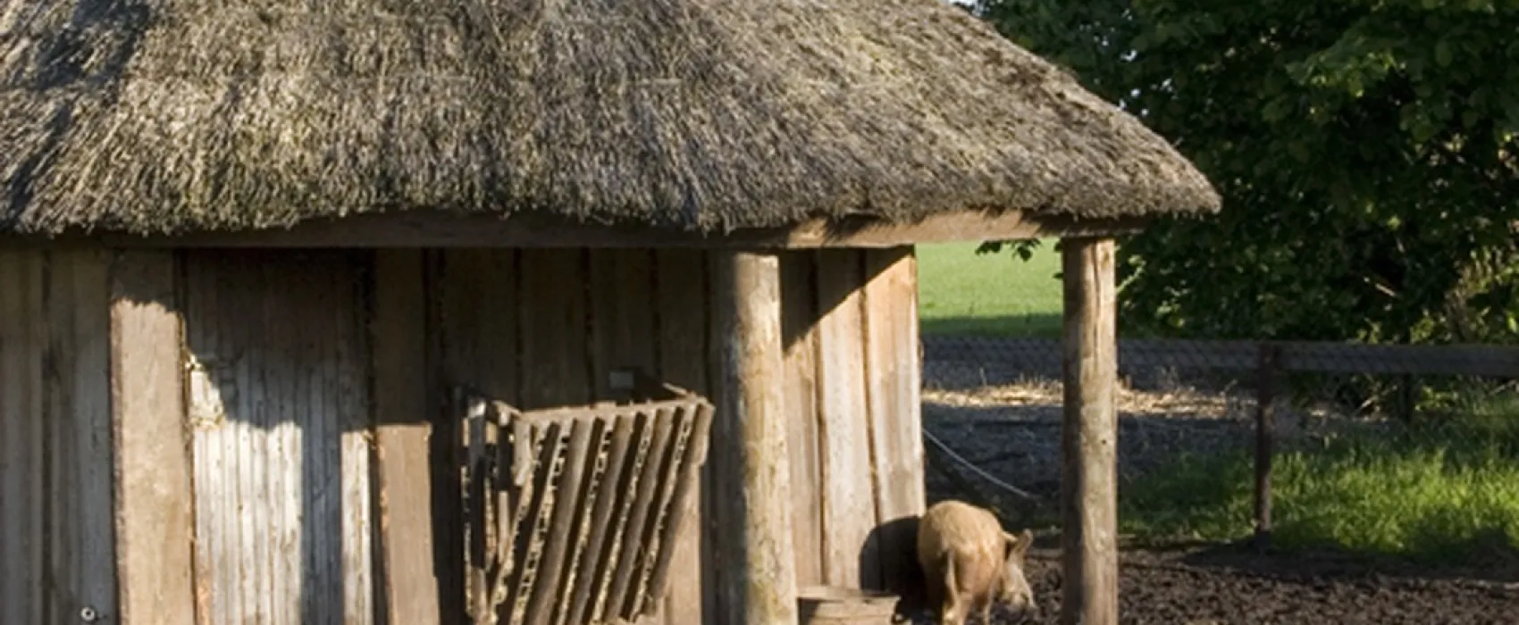 Camping De Biggenhof