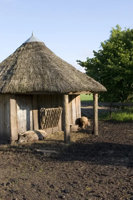 Camping De Biggenhof