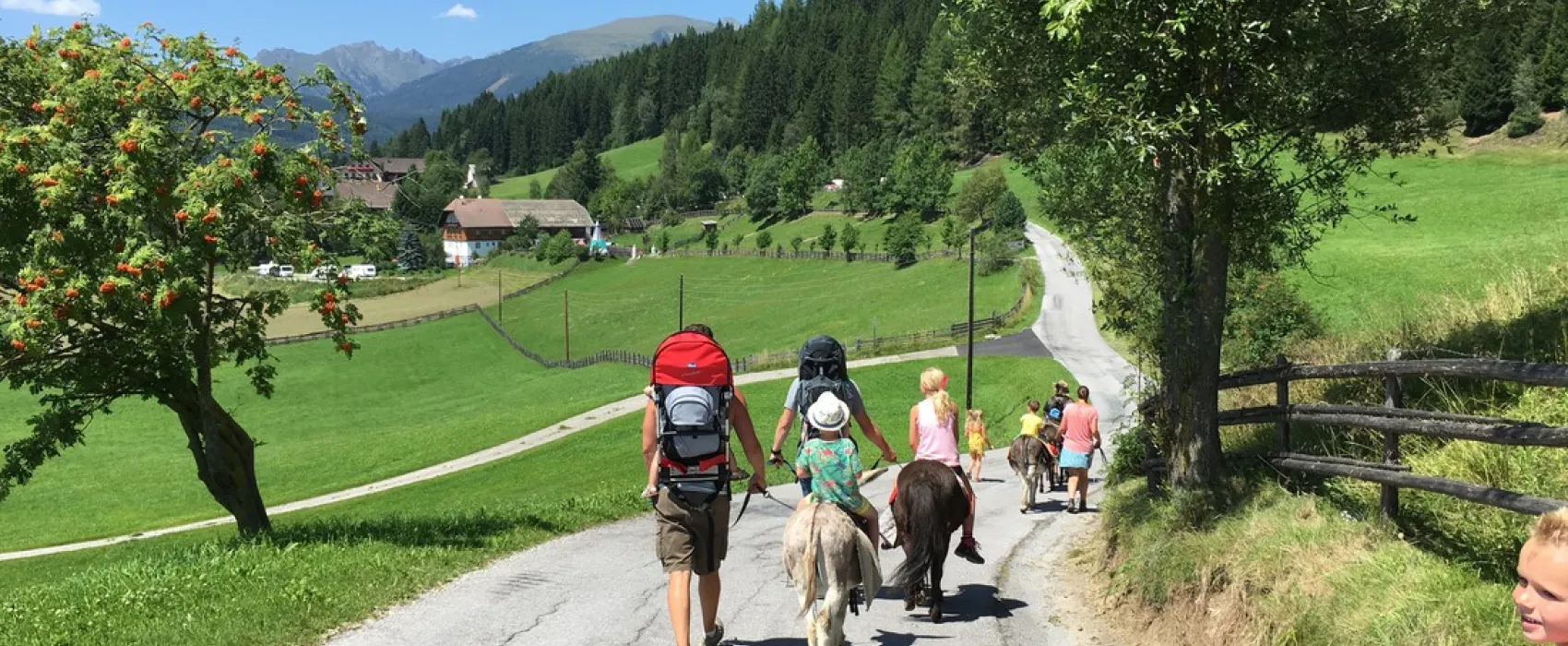 Natur-Camping Peterbauerhof
