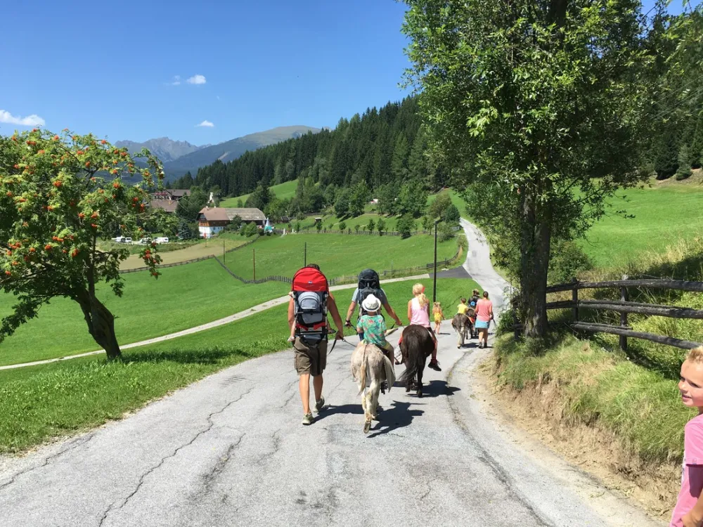 Natur-Camping Peterbauerhof