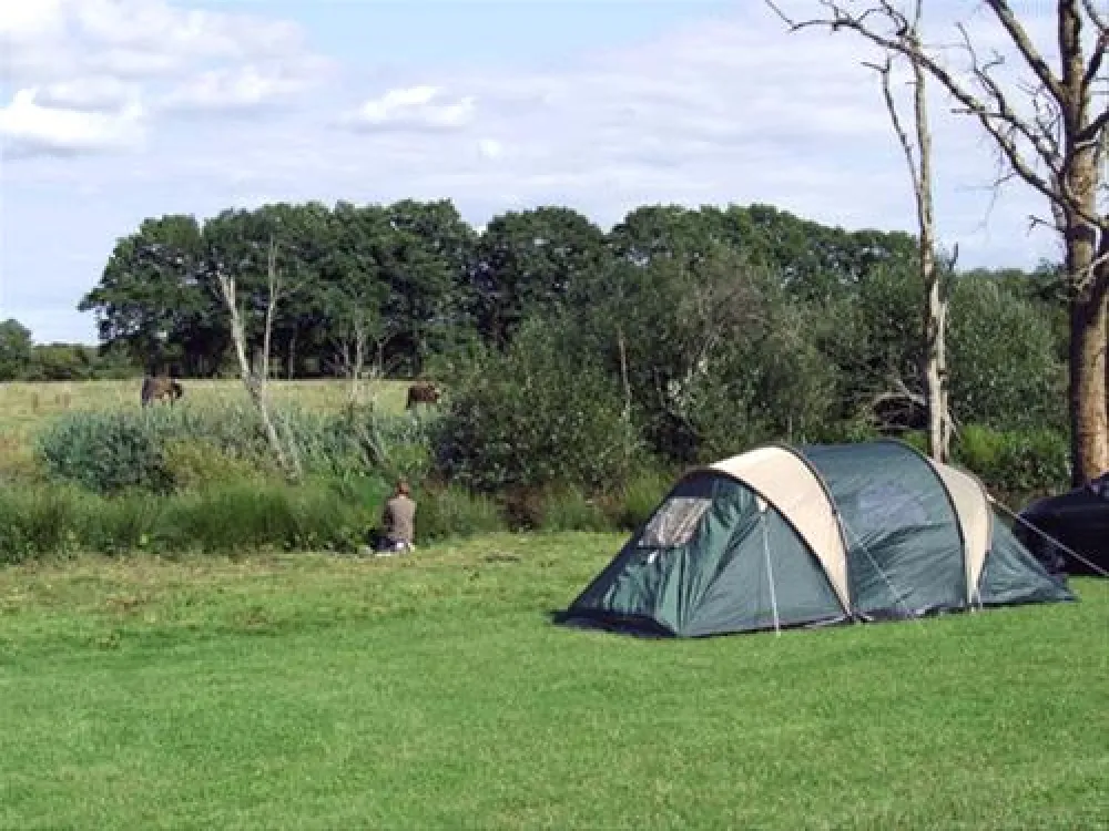 Blacklands Farm Caravan and Camping