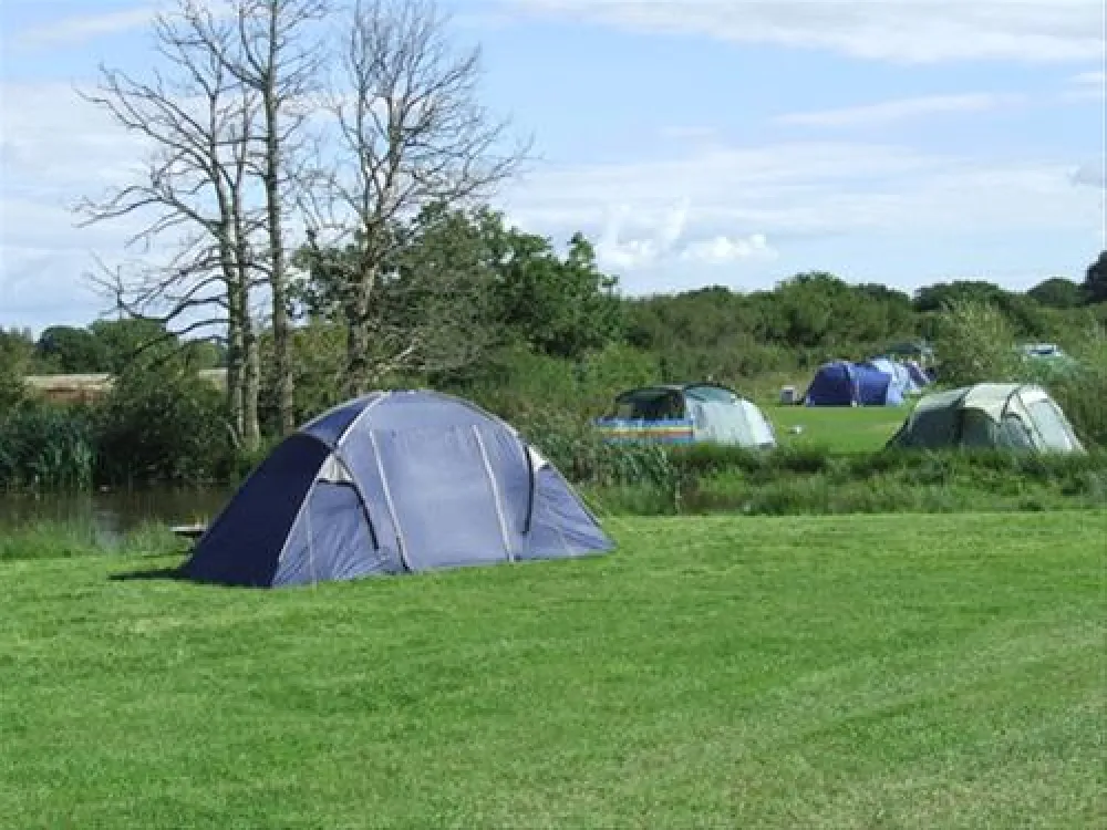 Blacklands Farm Caravan and Camping