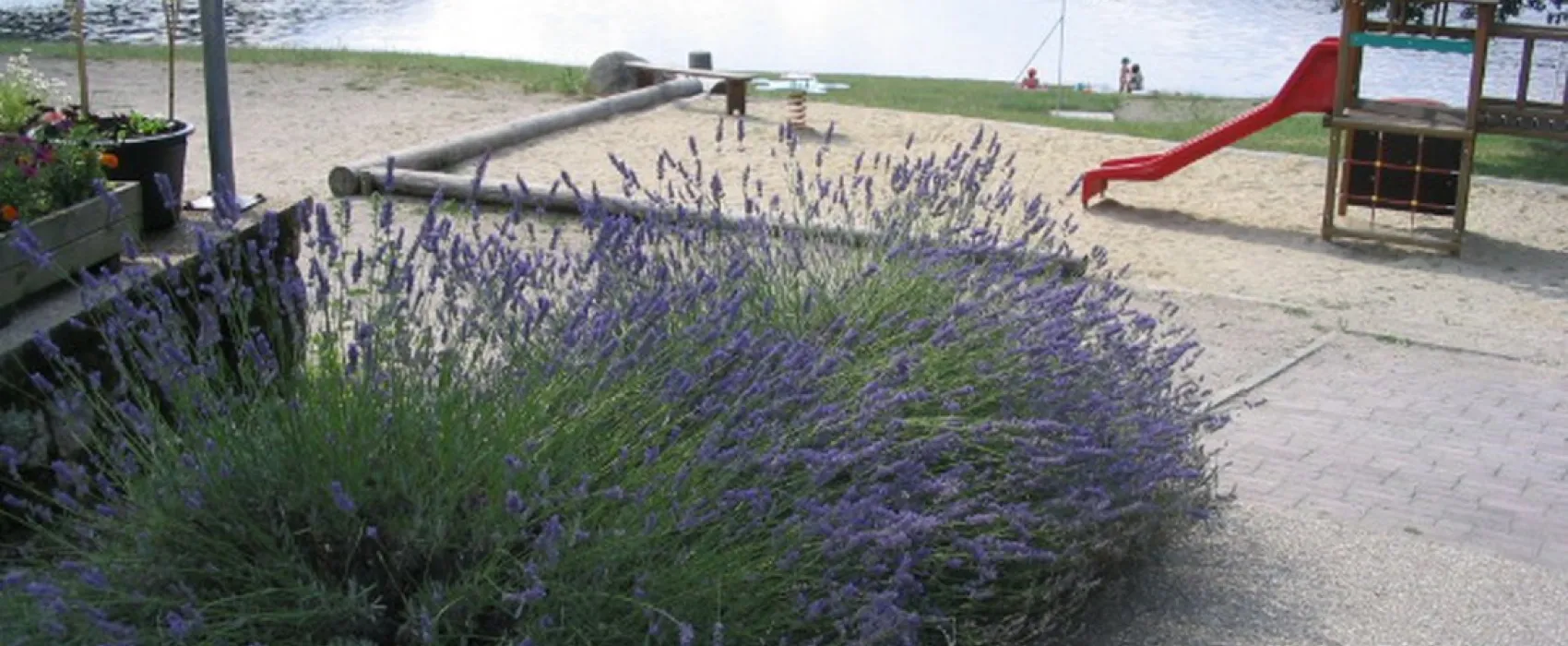 Camping La Romiguiere  