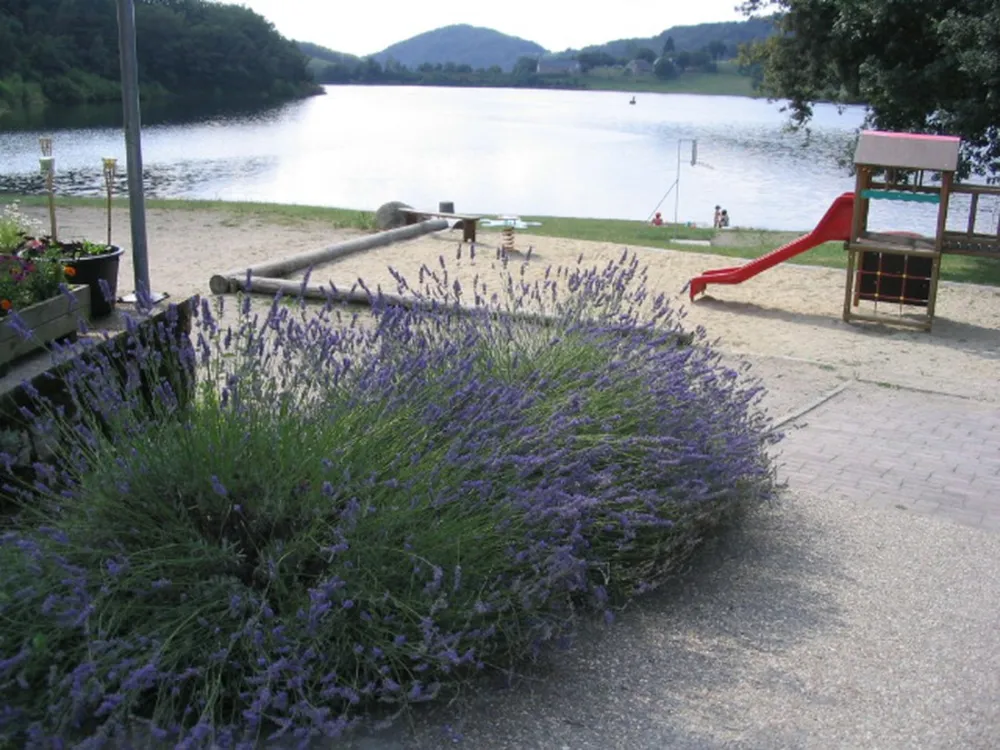 Camping La Romiguiere  