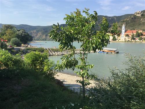 Campingplatz Rossatz - Photo 3