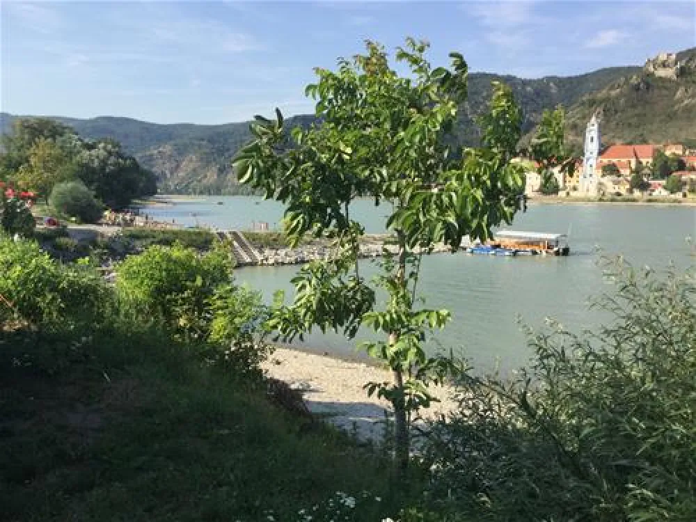 Campingplatz Rossatz