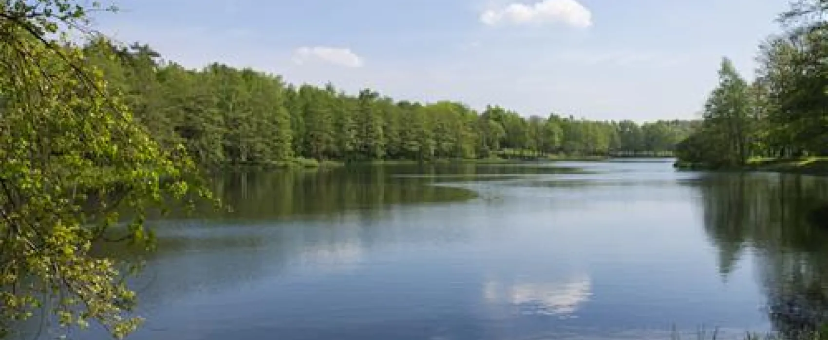 Campingplatz Bullerby am Attersee