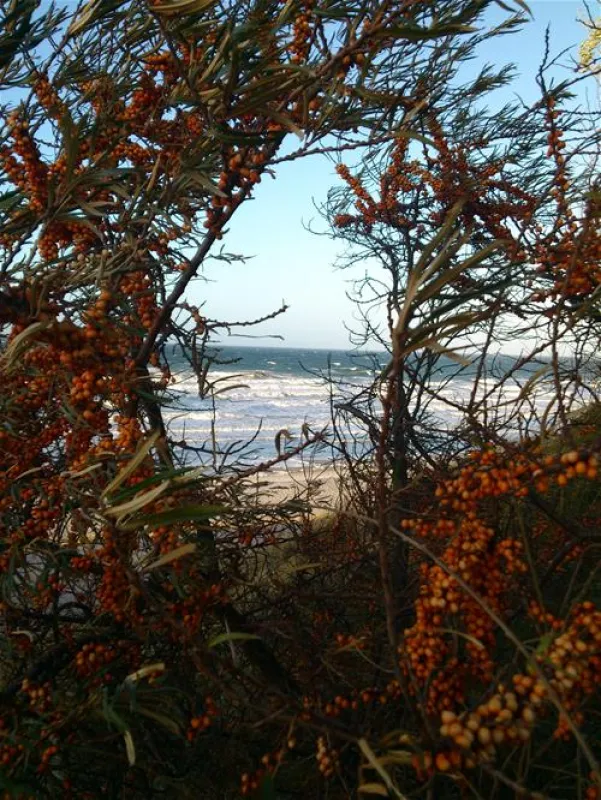 Campingpark Ostseebad Rerik