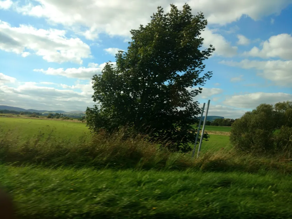 Gallowhill Farm Camping & Caravan Park