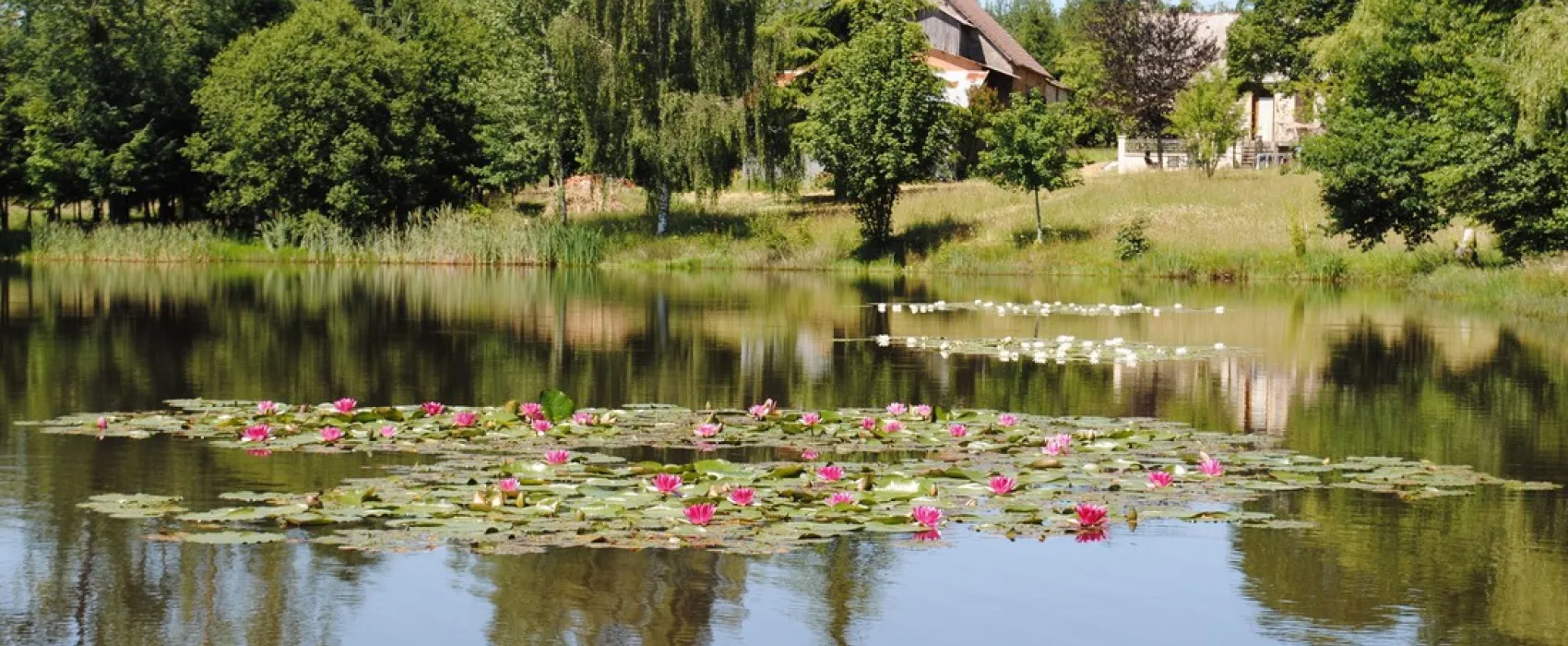 Liabaquet & Gîtes (La Marmite - La Porcherie)