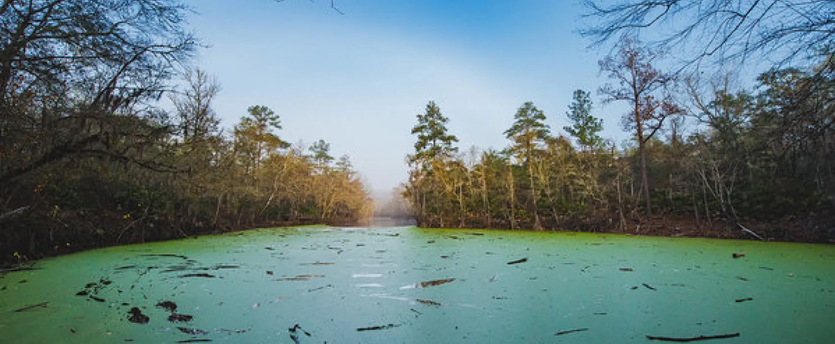 O'Leno State Park