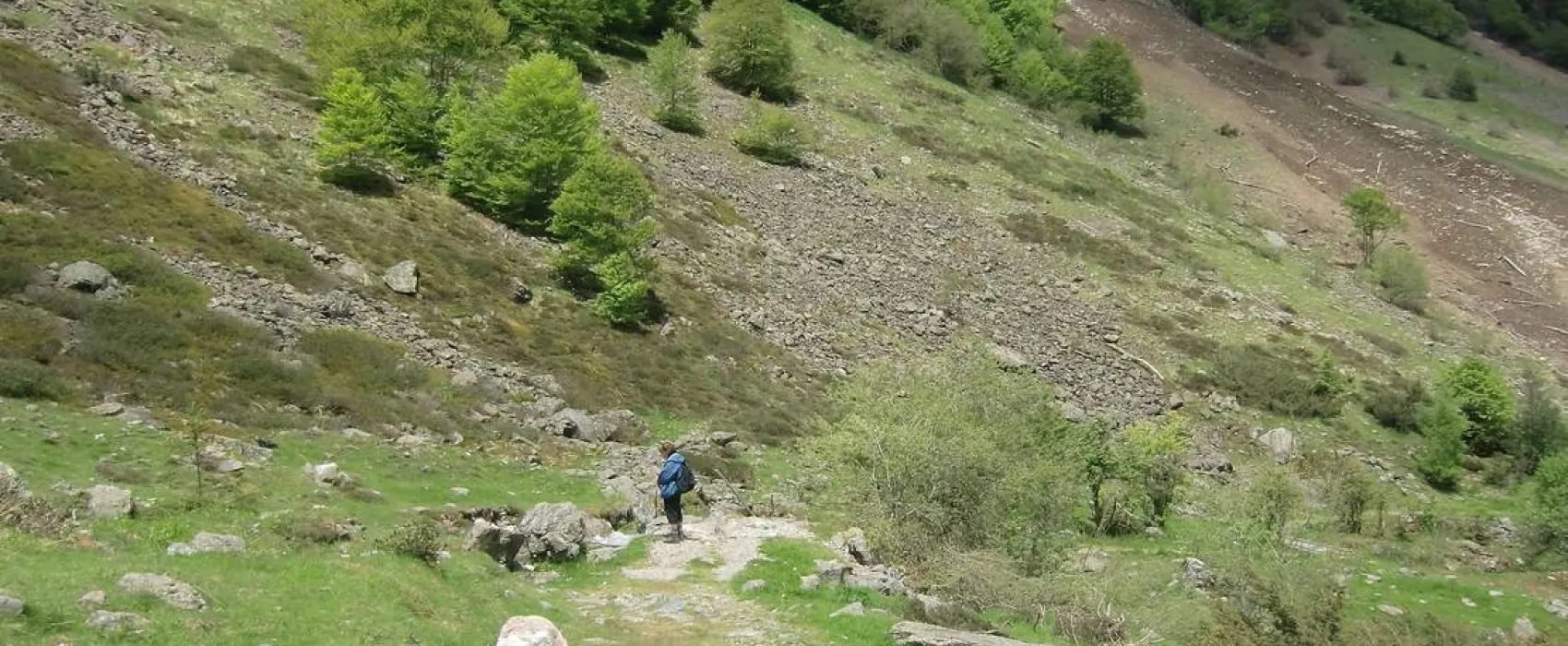 Camping Lac D'estaing
