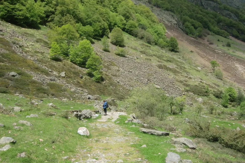 Camping Lac D'estaing