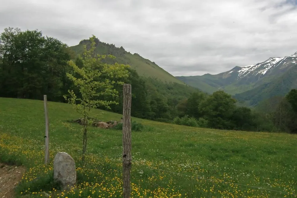 Camping Lac D'estaing
