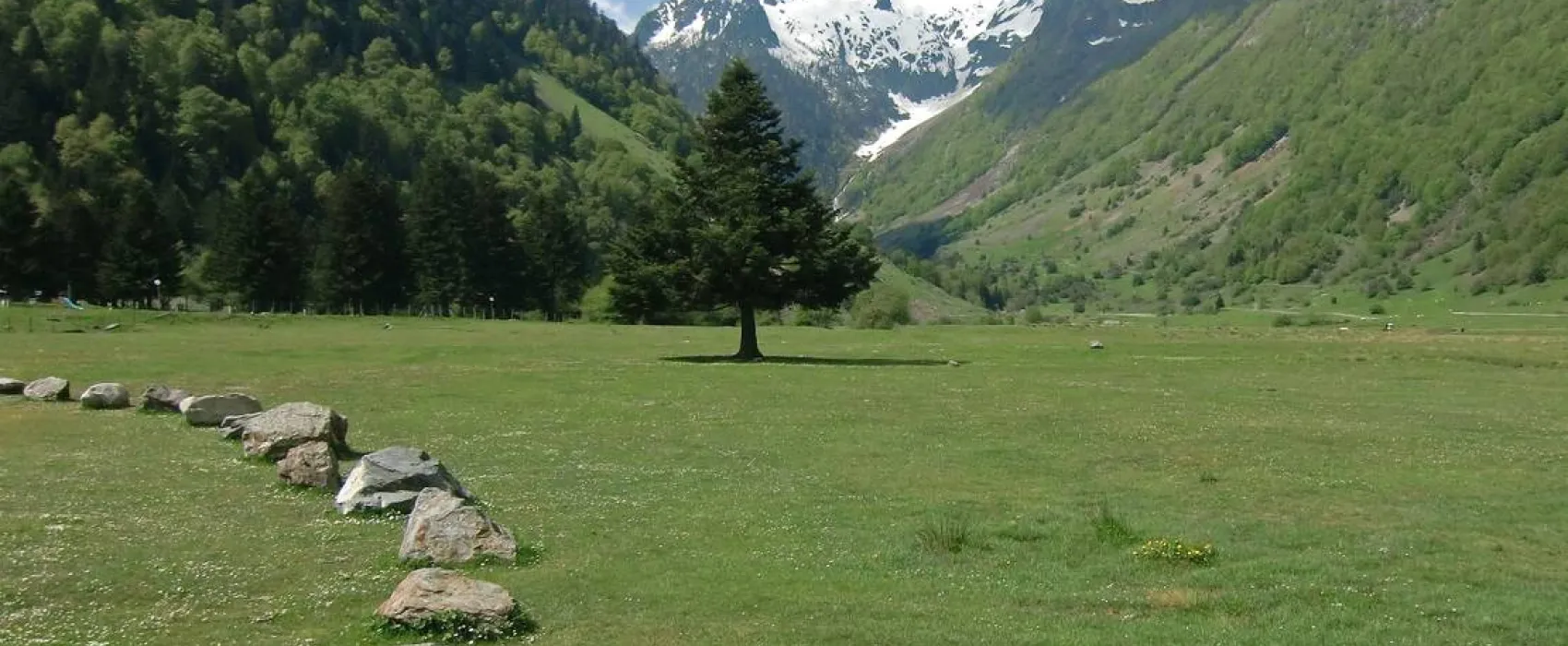 Camping Lac D'estaing