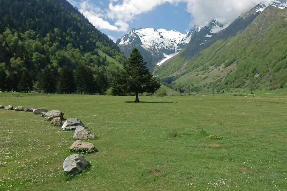 Camping Lac D'estaing