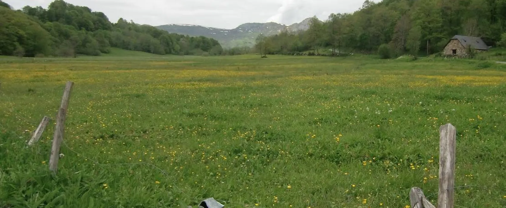 Camping Lac D'estaing