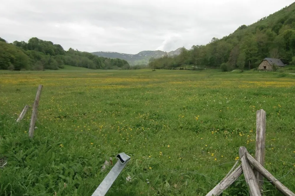 Camping Lac D'estaing