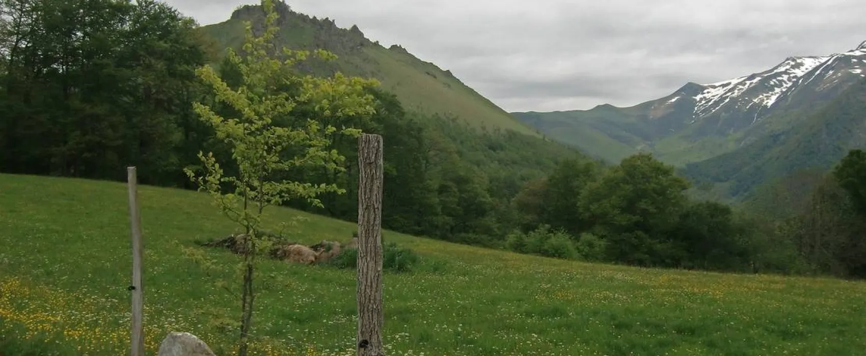Camping Lac D'estaing