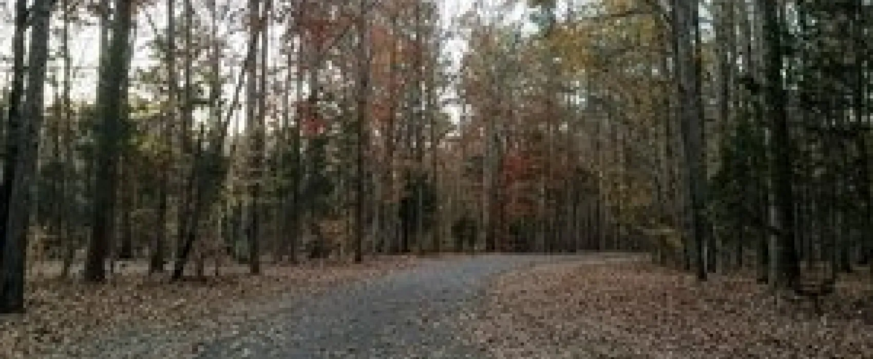 Dan Nicholas Campground