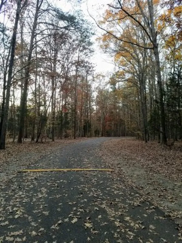 Dan Nicholas Campground