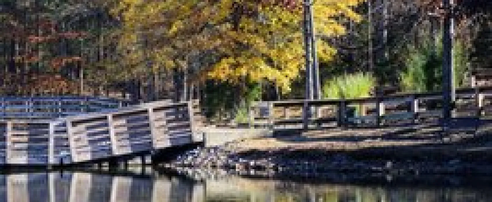 Dan Nicholas Campground