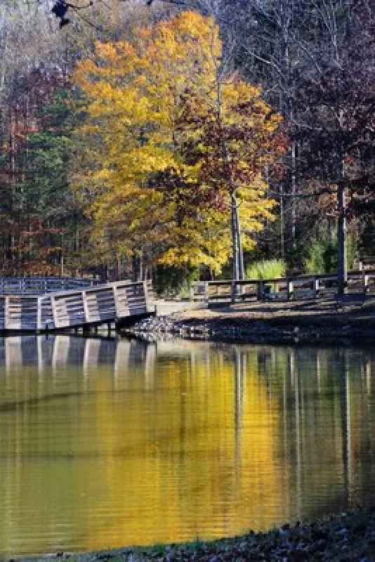 Dan Nicholas Campground