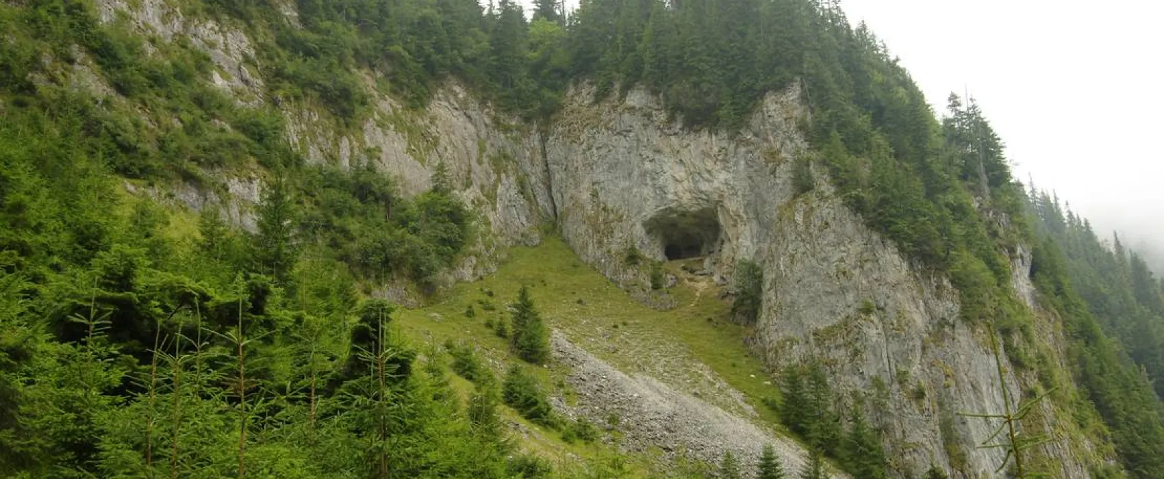 Pensiune camping laura borsa