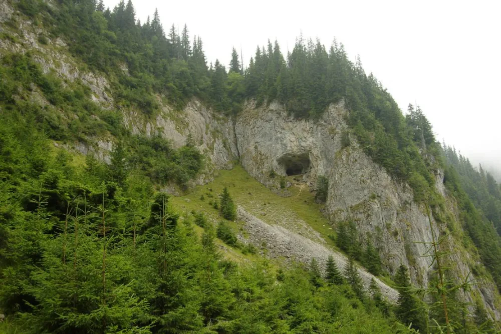 Pensiune camping laura borsa