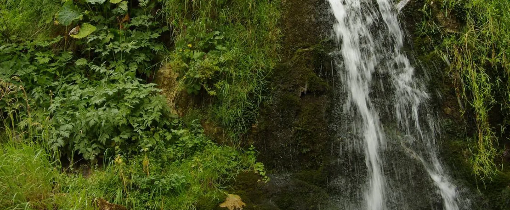 Pensiune camping laura borsa