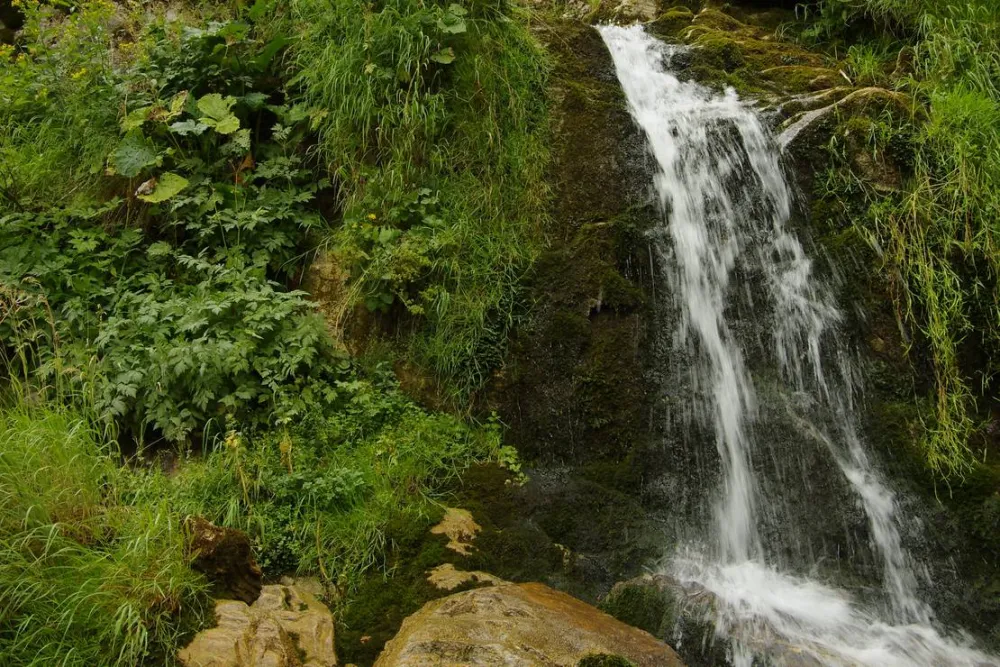 Pensiune camping laura borsa